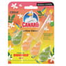 Canard 1 bloc wc active clean édition limitée tropical summer