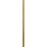 Punch rouleaux soft brio or 5m x 1m18