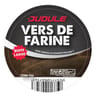 Vers de farine petit modèle