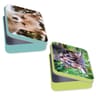 Animaux domestiques nature future boîte bons points métal