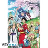 Poster "Wano" roulé filmé (91.5x61)