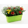 Association d'espèces nuances jardinière 40 cm