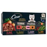 Cesar natural goodness barquettes terrine pour chien adulte 4 variétés - 800g