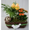 Composition de pâques 2 plantes
