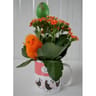 Kalanchoë dans son mug de pâques