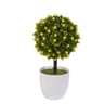 Arbre boule rosier