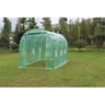 Jardin sauvage serre de jardin tunnel dim : 2x3xh2 mètres surface de 6m2
