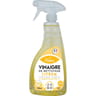 Phébus vinaigre de nettoyage en pulvérisateur 750 ml partun citron