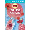 Lipton infusion à froid hibiscus grenade x15 38g