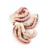 Tentacules d'encornets décongelées et saumurées