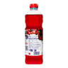 Ocean spray cranberry classic pet 1l