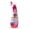 Chanteclair éclat & hygiène spray wc mousse active javel 625 ml
