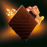 Lindt excellence tablette de chocolat noir caramel fleur de sel 100g