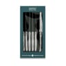 Coffret 6 couteaux laguiole metal inox