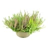 Calluna naturelle tricolore coupe 21 cm
