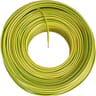 Prodelect cable 10m jaune/vert 2.5mm