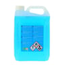 Eco budget lave glace 5L toutes saisons