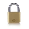 Cadenas laiton mat, anse acier, 3 clés, 40mm