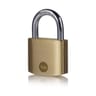 Yale 2 cadenas laiton mat, anse acier, 3 clés, 40mm
