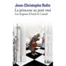 Jean-Christophe Rufin - Les énigmes d'Aurel le consul, La princesse au petit moi