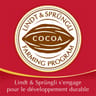 Lindt lindor lait cornet 337g