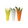 Spathiphyllum en housse