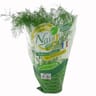 Herbe fraiche bio aneth