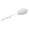 Brosse à dos plastique