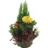 Composition Toussaint coupe 27cm