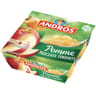 Andros dessert fruitier morceaux pommes nature 4x100g