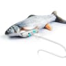Magic fish