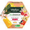Vitaflor gelée royale bio energie+ 1000mg ampoules x20