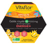 Vitaflor gelée royale bio energie+ 1000mg ampoules x20