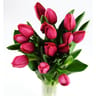 15 Tulipes fête