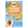 Lipton infusion à froid mangue rooibos x15 33g