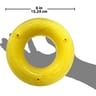 Nerf scentoloigy rond l poulet
