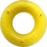 Nerf scentoloigy rond l poulet