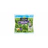 Florette salade mini mâche sachet 45g