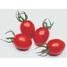 Tomate cerise allongée rouge