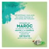 Lipton infusion maroc à la menthe et aux épices x20 - 40g