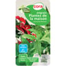 Engrais liquide plantes de la maison 1l cora