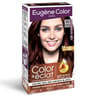 Eugene color les raffinées coloration permanente n°55 marron acajou