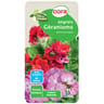 Engrais liquide géraniums 1 litre