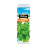 Florette coriandre 11g