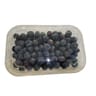 MYRTILLE BARQUETTE 250G