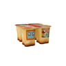 Les 2 Vaches flan bio 4x100g