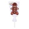 Sucette petit biscuit 30g