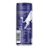 Red Bull Blue Edition myrtille 250ml
