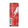Red bull summer edition pasteque 250ml