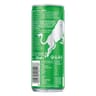Red Bull green goût fruit du dragon 250 ml